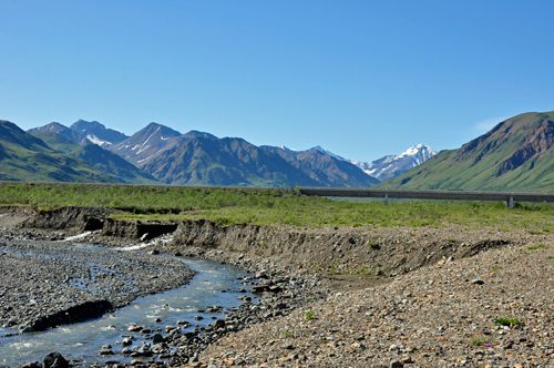 Denali National Park scenery